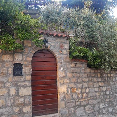 Sea-Side Old Stone Villa With A Private Garden Budva Eksteriør bilde