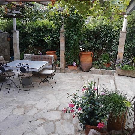 Sea-Side Old Stone Villa With A Private Garden Budva Eksteriør bilde