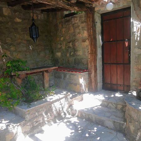 Sea-Side Old Stone Villa With A Private Garden Budva Eksteriør bilde