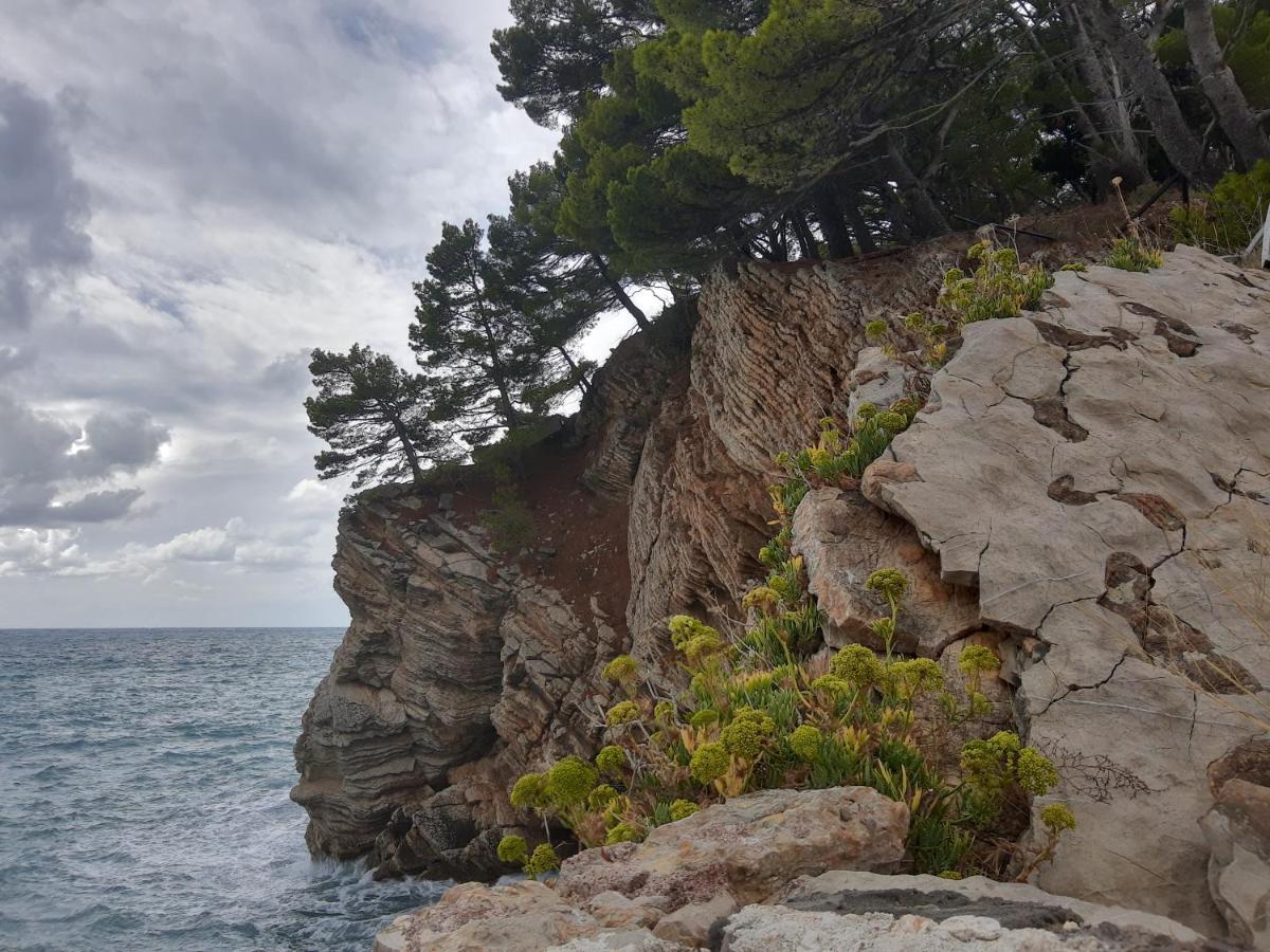 Sea-Side Old Stone Villa With A Private Garden Budva Eksteriør bilde
