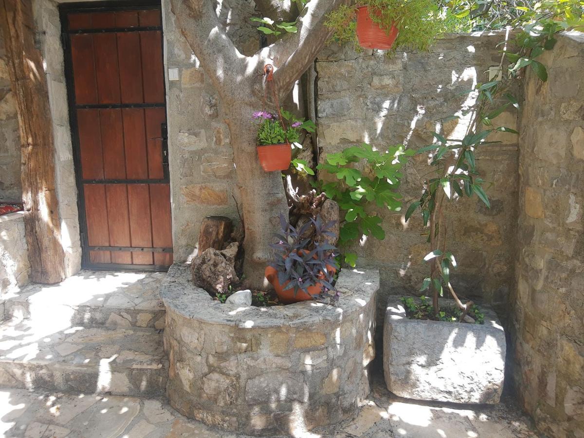 Sea-Side Old Stone Villa With A Private Garden Budva Eksteriør bilde