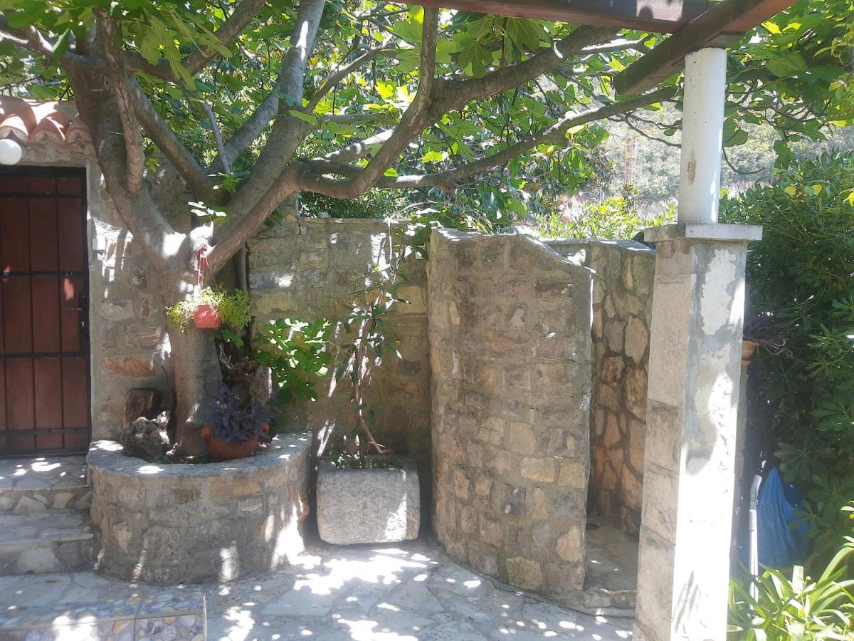 Sea-Side Old Stone Villa With A Private Garden Budva Eksteriør bilde