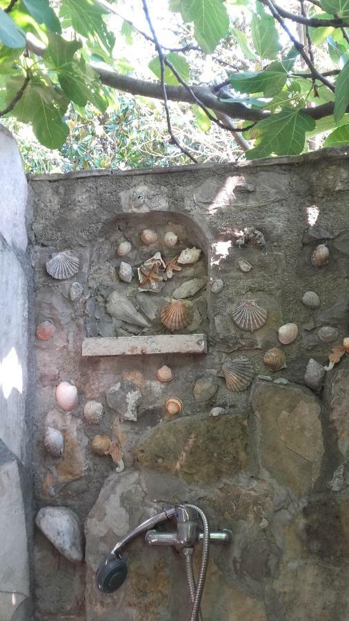 Sea-Side Old Stone Villa With A Private Garden Budva Eksteriør bilde